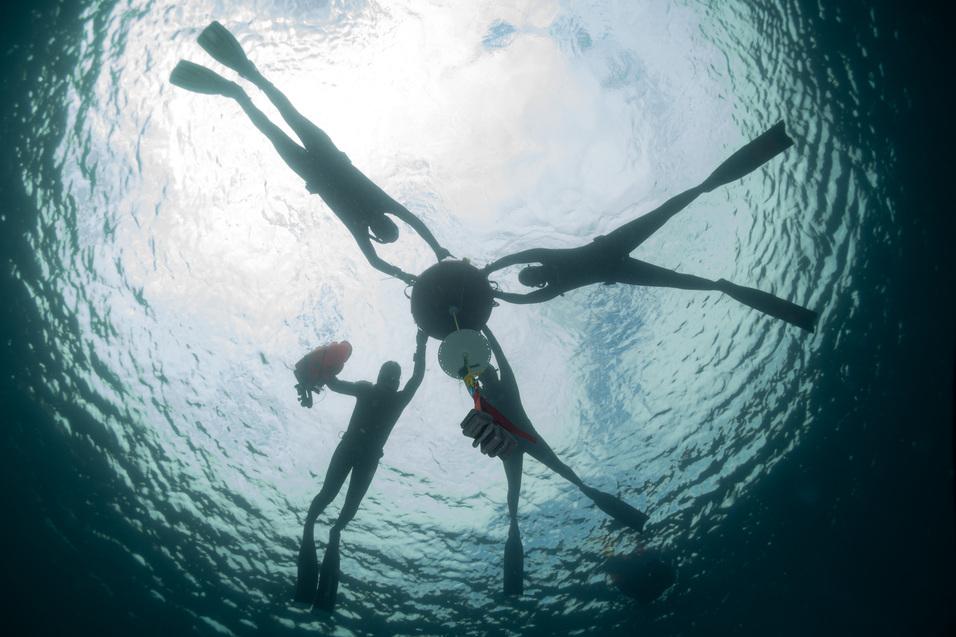 Apnoetaucher beim Auftauchen