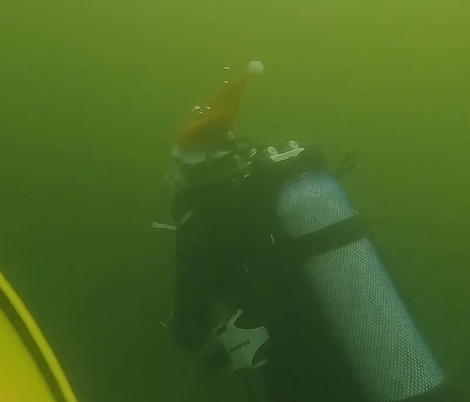 TG Waspo Xmas Dive